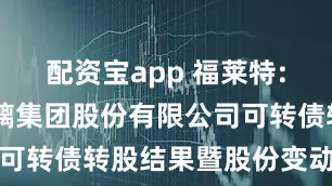 配资宝app 福莱特: 福莱特玻璃集团股份有限公司可转债转股结果暨股份变动的公告
