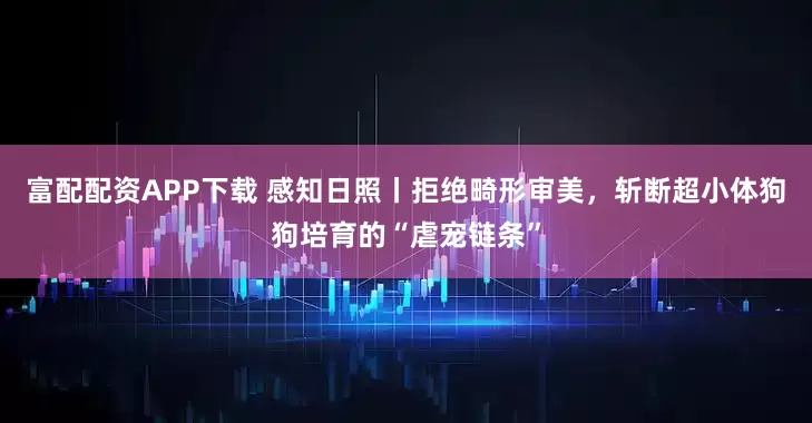 富配配资APP下载 感知日照丨拒绝畸形审美，斩断超小体狗狗培育的“虐宠链条”
