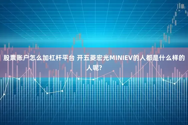 股票账户怎么加杠杆平台 开五菱宏光MINIEV的人都是什么样的人呢?