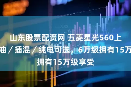 山东股票配资网 五菱星光560上市，燃油／插混／纯电可选，6万级拥有15万级享受
